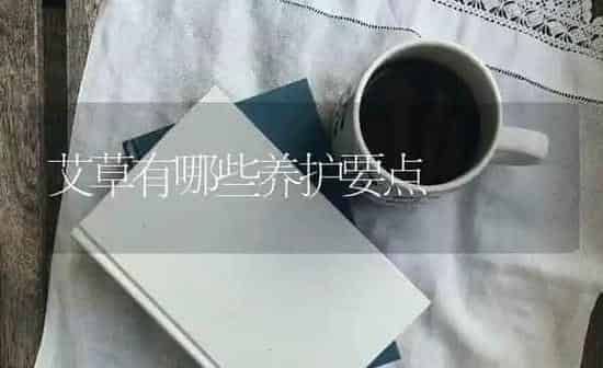 艾草有哪些养护要点 | 养殖技术大全
