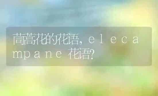 茼蒿花的花语,elecampane花语？ | 养殖科普