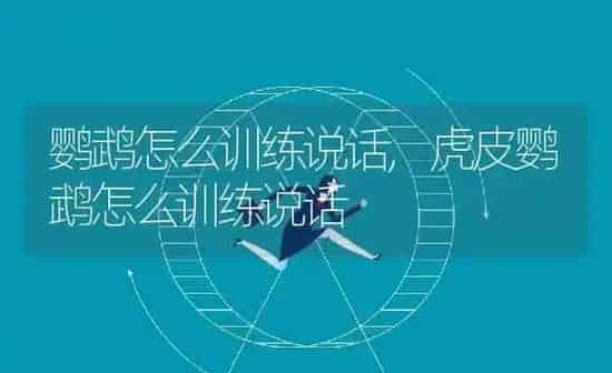 鹦鹉怎么训练说话,虎皮鹦鹉怎么训练说话 | 养殖科普