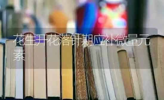 花生开花落针期应补微量元素 | 养殖知识