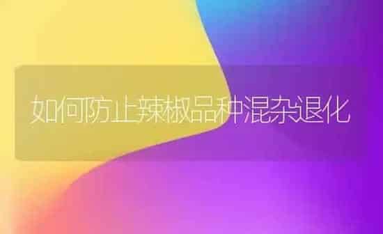 如何防止辣椒品种混杂退化 | 养殖知识