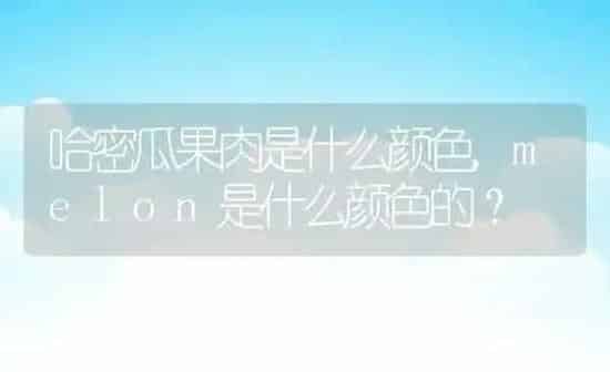 狗狗一年生几胎,狗狗一年生几胎比较好 | 养殖科普