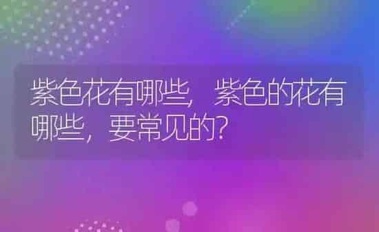 紫色花有哪些,紫色的花有哪些，要常见的？ | 养殖学堂