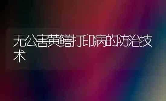 无公害黄鳝打印病的防治技术 | 养殖知识