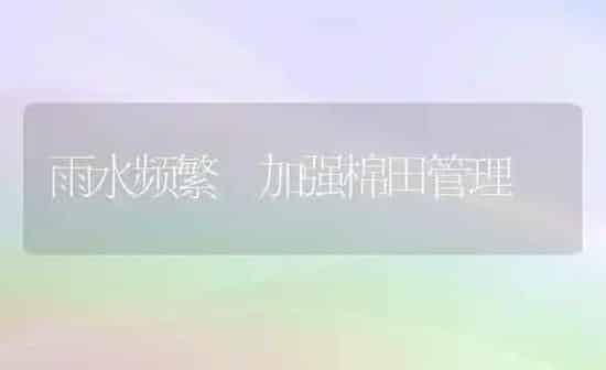 雨水频繁 加强棉田管理 | 养殖知识