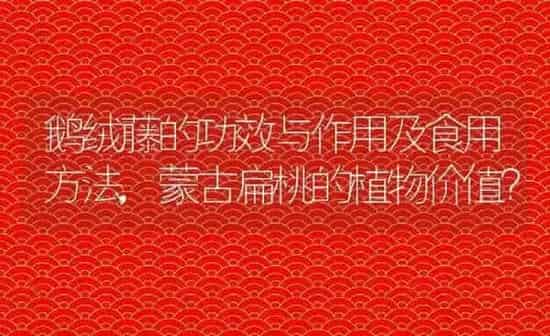 鹅绒藤的功效与作用及食用方法,蒙古扁桃的植物价值？ | 养殖科普
