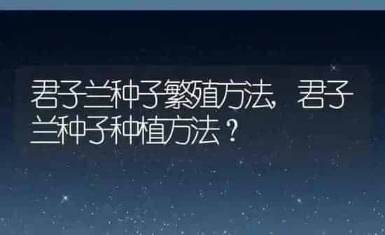 君子兰种子繁殖方法,君子兰种子种植方法？ | 养殖科普