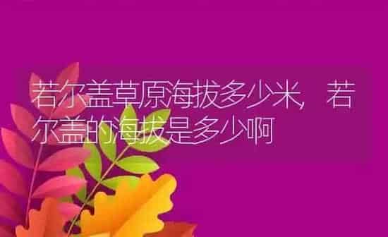 若尔盖草原海拔多少米,若尔盖的海拔是多少啊 | 养殖学堂