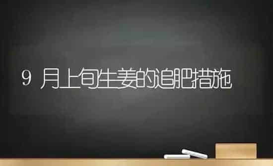 9月上旬生姜的追肥措施 | 养殖知识