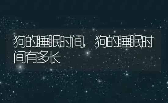 狗的睡眠时间,狗的睡眠时间有多长 | 养殖科普