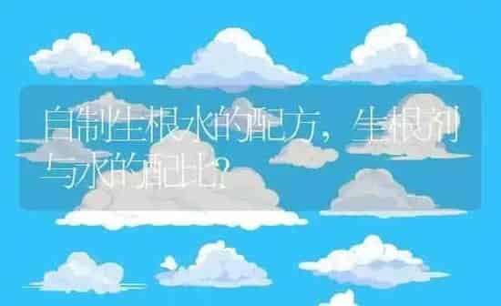自制生根水的配方,生根剂与水的配比？ | 养殖科普