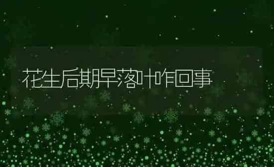 花生后期早落叶咋回事 | 养殖知识