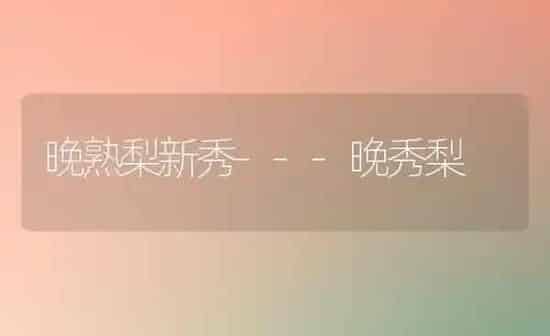 晚熟梨新秀---晚秀梨 | 养殖技术大全