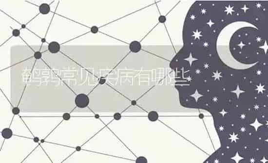 鹌鹑常见疾病有哪些 | 养殖技术大全