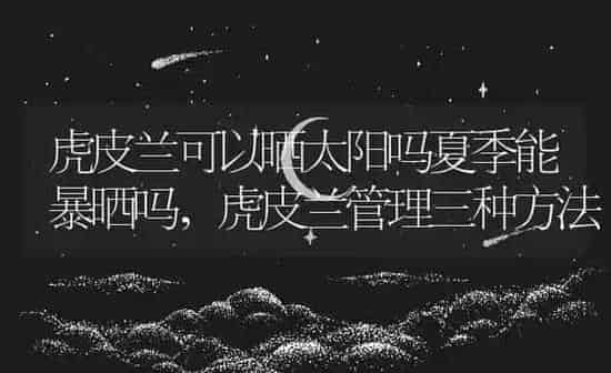 虎皮兰可以晒太阳吗夏季能暴晒吗,虎皮兰管理三种方法 | 养殖学堂