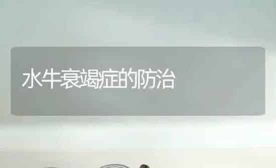 水牛衰竭症的防治 | 养殖知识