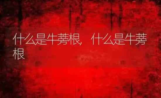 什么是牛蒡根,什么是牛蒡根 | 养殖科普