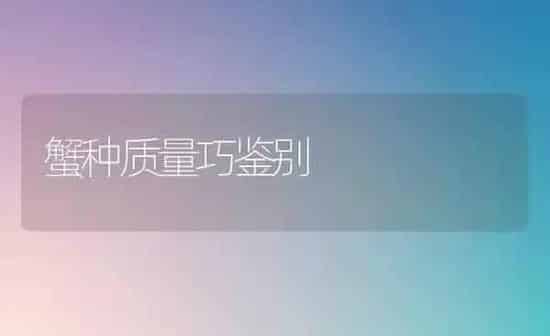 蟹种质量巧鉴别 | 养殖知识