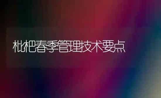 枇杷春季管理技术要点 | 养殖知识