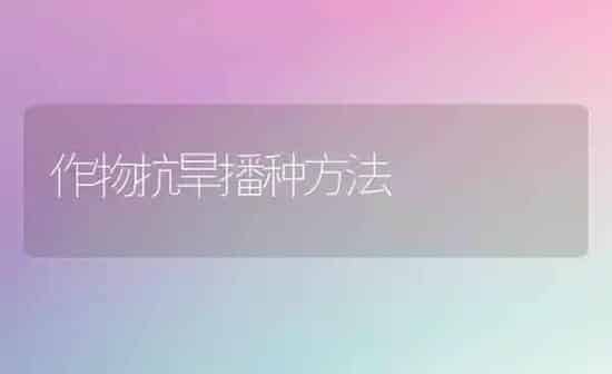 作物抗旱播种方法 | 养殖知识