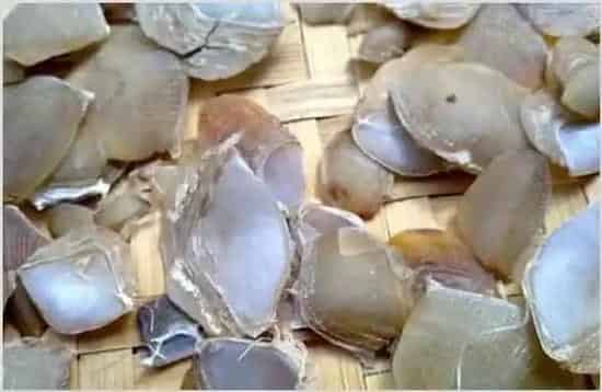 穿山甲价格怎么样 | 妙招大全