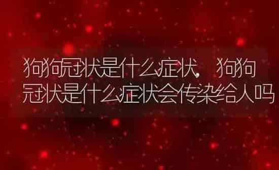狗狗冠状是什么症状,狗狗冠状是什么症状会传染给人吗 | 养殖科普