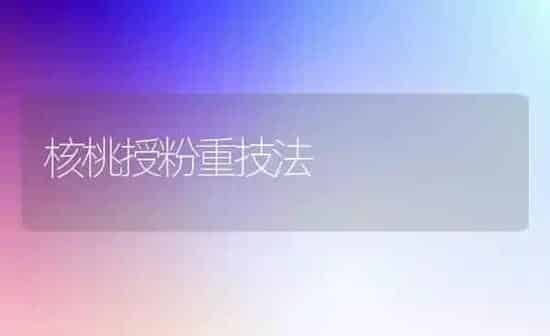 核桃授粉重技法 | 养殖技术大全