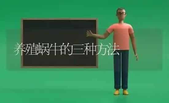 养殖蜗牛的三种方法 | 养殖知识