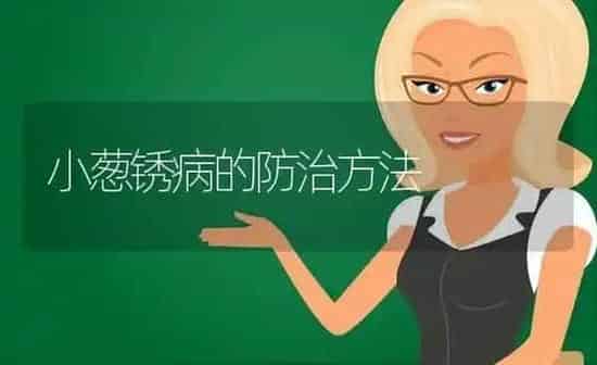 小葱锈病的防治方法 | 养殖技术大全