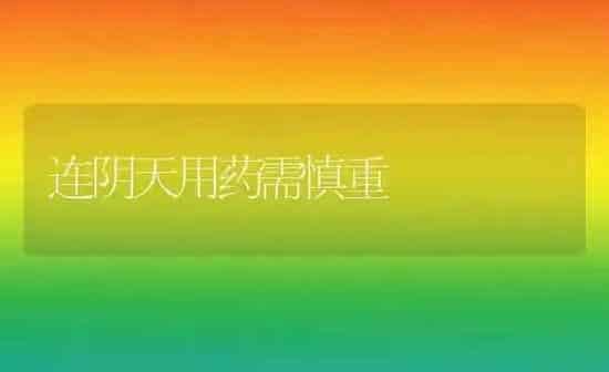 连阴天用药需慎重 | 养殖知识
