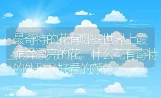最奇特的花有哪些世界上最诡异漂亮的花,什么花有奇特的外形及好看的颜色 | 养殖学堂