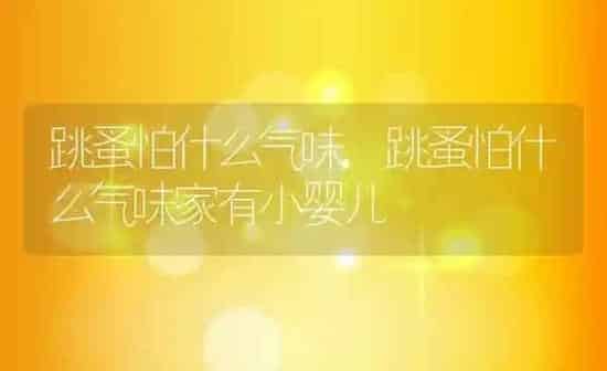 跳蚤怕什么气味,跳蚤怕什么气味家有小婴儿 | 养殖科普