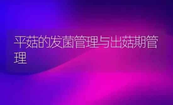 鹌鹑快速育肥法 | 养殖技术大全