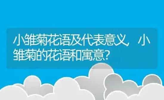 小雏菊花语及代表意义,小雏菊的花语和寓意？ | 养殖学堂