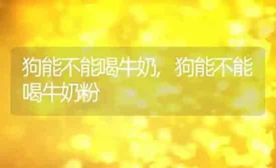 狗能不能喝牛奶,狗能不能喝牛奶粉 | 养殖科普