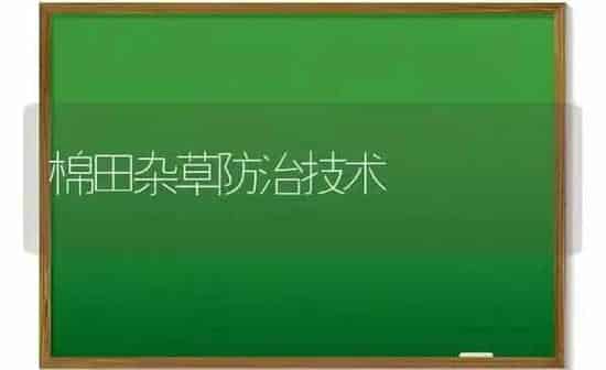 棉田杂草防治技术 | 养殖知识
