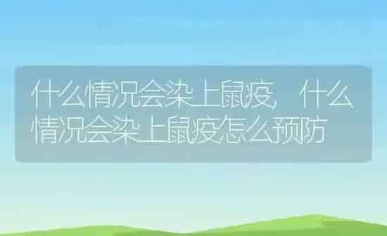 什么情况会染上鼠疫,什么情况会染上鼠疫怎么预防 | 养殖资料