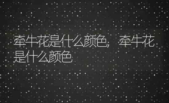 牵牛花是什么颜色,牵牛花是什么颜色 | 养殖科普