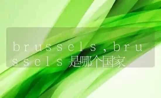 brussels,brussels是哪个国家 | 养殖资料