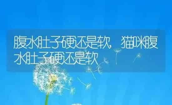 狗能吃火龙果吗,狗能吃火龙果吗红心 | 养殖科普