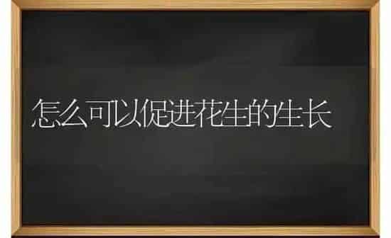 怎么可以促进花生的生长 | 养殖知识