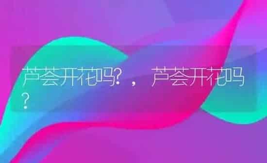 嘿嘿什么意思 | 养殖资料