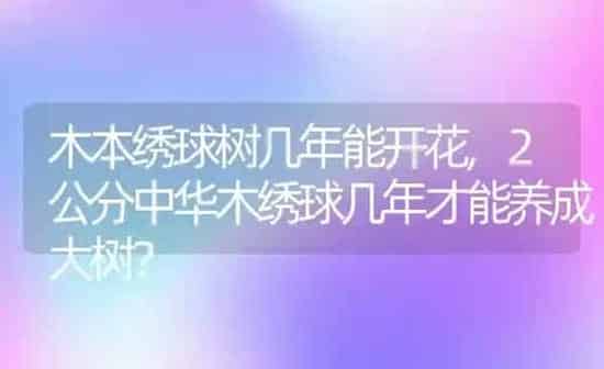 牡丹鹦鹉的智商,牡丹鹦鹉的智商有几岁 | 养殖科普