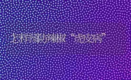 怎样预防辣椒“虎皮病” | 养殖技术大全