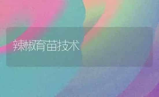辣椒育苗技术 | 养殖知识