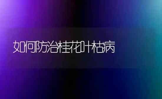 如何防治桂花叶枯病 | 养殖知识
