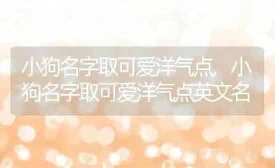 小狗名字取可爱洋气点,小狗名字取可爱洋气点英文名 | 养殖科普