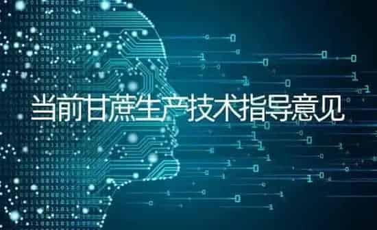 当前甘蔗生产技术指导意见 | 养殖知识