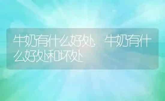 牛奶有什么好处,牛奶有什么好处和坏处 | 养殖科普