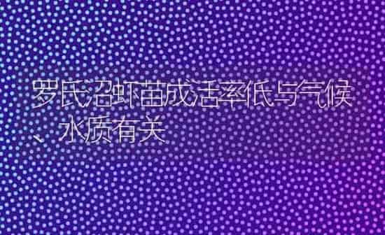 罗氏沼虾苗成活率低与气候、水质有关 | 养殖知识